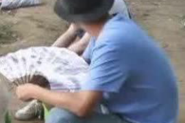 母亲讨债阅读赏析 母亲讨债阅读赏析