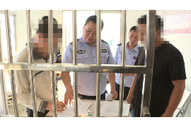 龙游清数公司怎么收费?全面解析收费模式与优势 龙游清数公司怎么收费?全面解析收费模式与优势