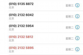 原神吧个讨债人:揭秘游戏社区中的神秘角色 原神吧个讨债人:揭秘游戏社区中的神秘角色